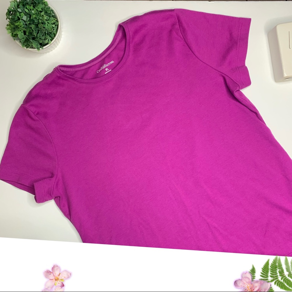 5for $25 🔺Croft&barrow shirt 👚Size PL - Picture 2 of 4